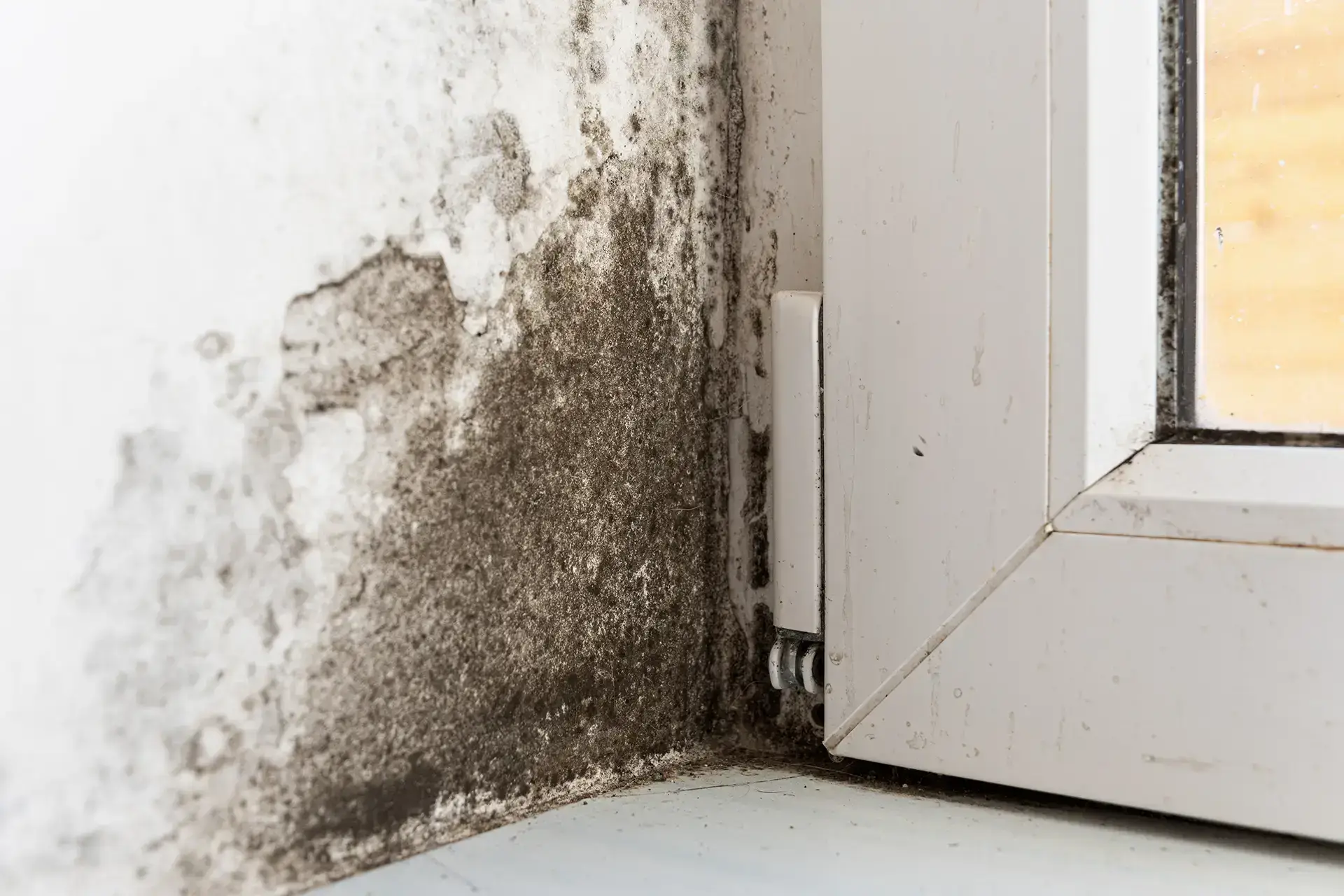 Restoring Your Peace Of Mind After Sudden Flooding — Hawaiian Gardens, CA